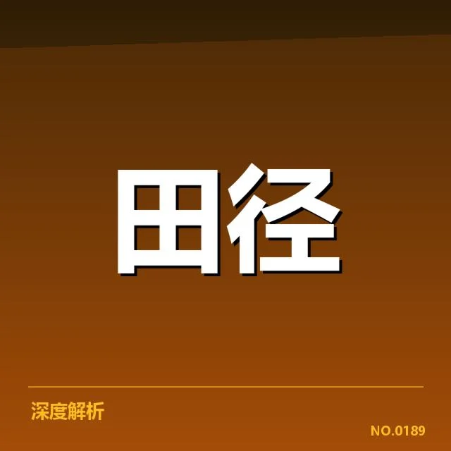 确认的事实：队伍现有阵容和赛事安排